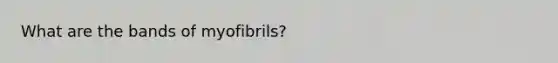 What are the bands of myofibrils?