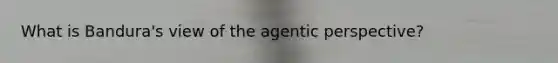 What is Bandura's view of the agentic perspective?