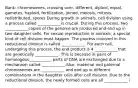 Bank: chromosomes, crossing over, different, diploid, equal, gametes, haploid, fertilization, joined, meiosis, mitosis, redistributed, spores During growth in animals, cell division using a process called ____________is crucial. During this process, two ____________copies of the genome are produced and end up in two daughter cells. For sexual reproduction in animals, a special kind of cell division must happen. The process involved in this reductional division is called ____________. For each cell, undergoing this process, the end product is 4 ____________that are genetically ____________. This is because in pairs of homologous___________, parts of DNA are exchanged due to a mechanism called ____________.Also, maternal and paternal chromosomes are ____________ and end up in different combinations in the daughter cells after cell division. Due to the reductional division, the newly formed cells are all ____________ i