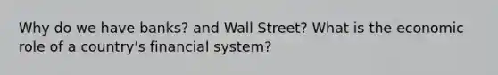 Why do we have banks? and Wall Street? What is the economic role of a country's financial system?