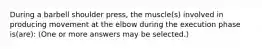 During a barbell shoulder press, the muscle(s) involved in producing movement at the elbow during the execution phase is(are): (One or more answers may be selected.)