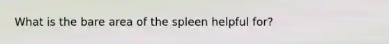 What is the bare area of the spleen helpful for?