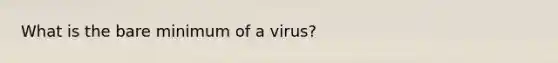 What is the bare minimum of a virus?