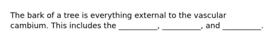 The bark of a tree is everything external to the vascular cambium. This includes the __________, __________, and __________.