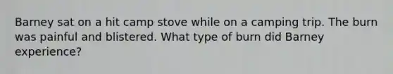 Barney sat on a hit camp stove while on a camping trip. The burn was painful and blistered. What type of burn did Barney experience?