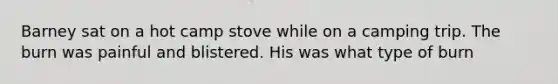 Barney sat on a hot camp stove while on a camping trip. The burn was painful and blistered. His was what type of burn