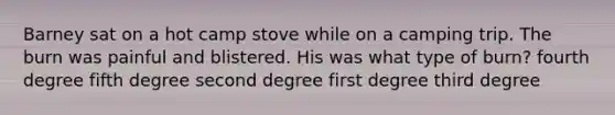 Barney sat on a hot camp stove while on a camping trip. The burn was painful and blistered. His was what type of burn? fourth degree fifth degree second degree first degree third degree