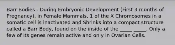 Barr Bodies - During Embryonic Development (First 3 months of Pregnancy), in Female Mammals, 1 of the X Chromosomes in a somatic cell is inactivated and Shrinks into a compact structure called a Barr Body, found on the inside of the _____ _____. Only a few of its genes remain active and only in Ovarian Cells.