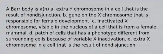 A Barr body is a(n) a. extra Y chromosome in a cell that is the result of nondisjunction. b. gene on the X chromosome that is responsible for female development. c. inactivated X chromosome, visible in the nucleus of a cell that is from a female mammal. d. patch of cells that has a phenotype different from surrounding cells because of variable X inactivation. e. extra X chromosome in a cell that is the result of nondisjunction