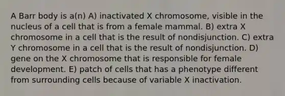 A Barr body is a(n) A) inactivated X chromosome, visible in the nucleus of a cell that is from a female mammal. B) extra X chromosome in a cell that is the result of nondisjunction. C) extra Y chromosome in a cell that is the result of nondisjunction. D) gene on the X chromosome that is responsible for female development. E) patch of cells that has a phenotype different from surrounding cells because of variable X inactivation.