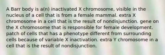 A Barr body is a(n) inactivated X chromosome, visible in the nucleus of a cell that is from a female mammal. extra X chromosome in a cell that is the result of nondisjunction. gene on the X chromosome that is responsible for female development. patch of cells that has a phenotype different from surrounding cells because of variable X inactivation. extra Y chromosome in a cell that is the result of nondisjunction.