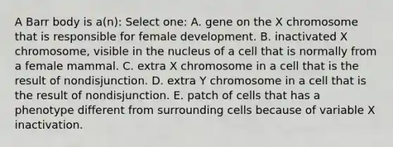 A Barr body is a(n): Select one: A. gene on the X chromosome that is responsible for female development. B. inactivated X chromosome, visible in the nucleus of a cell that is normally from a female mammal. C. extra X chromosome in a cell that is the result of nondisjunction. D. extra Y chromosome in a cell that is the result of nondisjunction. E. patch of cells that has a phenotype different from surrounding cells because of variable X inactivation.