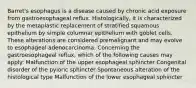 Barret's esophagus is a disease caused by chronic acid exposure from gastroesophageal reflux. Histologically, it is characterized by the metaplastic replacement of stratified squamous epithelium by simple columnar epithelium with goblet cells. These alterations are considered premalignant and may evolve to esophageal adenocarcinoma. Concerning the gastroesophageal reflux, which of the following causes may apply: Malfunction of the upper esophageal sphincter Congenital disorder of the pyloric sphincter Spontaneous alteration of the histological type Malfunction of the lower esophageal sphincter