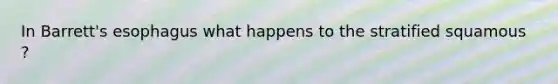 In Barrett's esophagus what happens to the stratified squamous ?