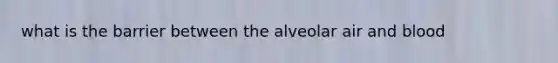 what is the barrier between the alveolar air and blood