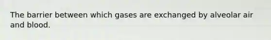 The barrier between which gases are exchanged by alveolar air and blood.