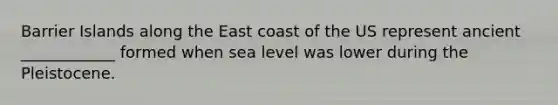 Barrier Islands along the East coast of the US represent ancient ____________ formed when sea level was lower during the Pleistocene.