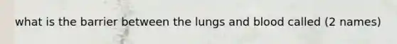 what is the barrier between the lungs and blood called (2 names)