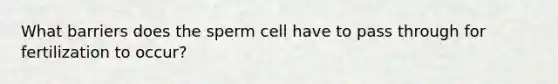 What barriers does the sperm cell have to pass through for fertilization to occur?