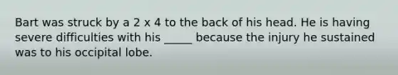 Bart was struck by a 2 x 4 to the back of his head. He is having severe difficulties with his _____ because the injury he sustained was to his occipital lobe.