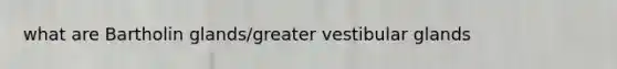 what are Bartholin glands/greater vestibular glands