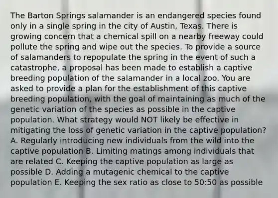 The Barton Springs salamander is an endangered species found only in a single spring in the city of Austin, Texas. There is growing concern that a chemical spill on a nearby freeway could pollute the spring and wipe out the species. To provide a source of salamanders to repopulate the spring in the event of such a catastrophe, a proposal has been made to establish a captive breeding population of the salamander in a local zoo. You are asked to provide a plan for the establishment of this captive breeding population, with the goal of maintaining as much of the genetic variation of the species as possible in the captive population. What strategy would NOT likely be effective in mitigating the loss of genetic variation in the captive population? A. Regularly introducing new individuals from the wild into the captive population B. Limiting matings among individuals that are related C. Keeping the captive population as large as possible D. Adding a mutagenic chemical to the captive population E. Keeping the sex ratio as close to 50:50 as possible