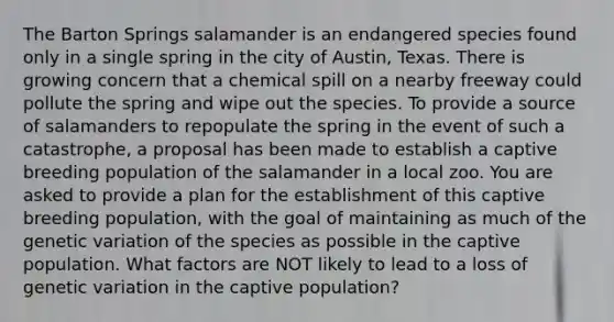 The Barton Springs salamander is an endangered species found only in a single spring in the city of Austin, Texas. There is growing concern that a chemical spill on a nearby freeway could pollute the spring and wipe out the species. To provide a source of salamanders to repopulate the spring in the event of such a catastrophe, a proposal has been made to establish a captive breeding population of the salamander in a local zoo. You are asked to provide a plan for the establishment of this captive breeding population, with the goal of maintaining as much of the genetic variation of the species as possible in the captive population. What factors are NOT likely to lead to a loss of genetic variation in the captive population?