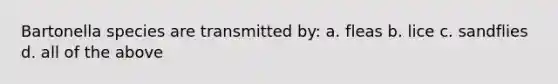 Bartonella species are transmitted by: a. fleas b. lice c. sandflies d. all of the above