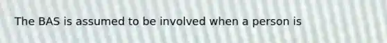 The BAS is assumed to be involved when a person is