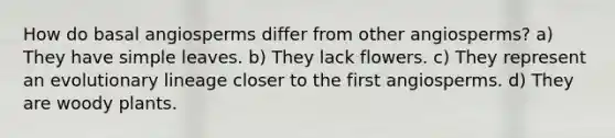 How do basal angiosperms differ from other angiosperms? a) They have simple leaves. b) They lack flowers. c) They represent an evolutionary lineage closer to the first angiosperms. d) They are woody plants.