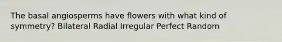 The basal angiosperms have flowers with what kind of symmetry? Bilateral Radial Irregular Perfect Random