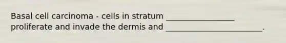 Basal cell carcinoma - cells in stratum _________________ proliferate and invade the dermis and ________________________.