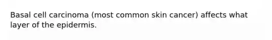 Basal cell carcinoma (most common skin cancer) affects what layer of <a href='https://www.questionai.com/knowledge/kBFgQMpq6s-the-epidermis' class='anchor-knowledge'>the epidermis</a>.