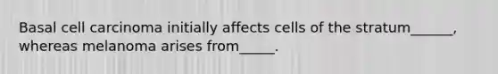 Basal cell carcinoma initially affects cells of the stratum______, whereas melanoma arises from_____.