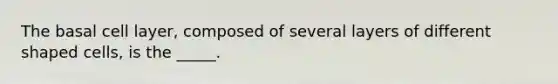 The basal cell layer, composed of several layers of different shaped cells, is the _____.