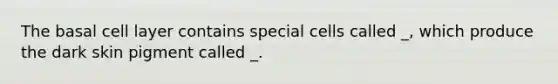 The basal cell layer contains special cells called _, which produce the dark skin pigment called _.