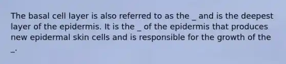 The basal cell layer is also referred to as the _ and is the deepest layer of <a href='https://www.questionai.com/knowledge/kBFgQMpq6s-the-epidermis' class='anchor-knowledge'>the epidermis</a>. It is the _ of the epidermis that produces new epidermal skin cells and is responsible for the growth of the _.