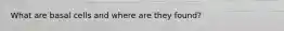 What are basal cells and where are they found?