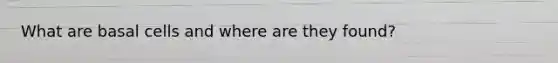 What are basal cells and where are they found?