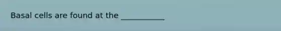 Basal cells are found at the ___________