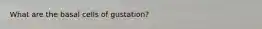 What are the basal cells of gustation?