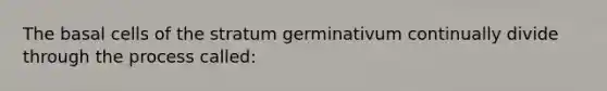 The basal cells of the stratum germinativum continually divide through the process called: