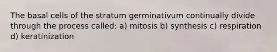 The basal cells of the stratum germinativum continually divide through the process called: a) mitosis b) synthesis c) respiration d) keratinization