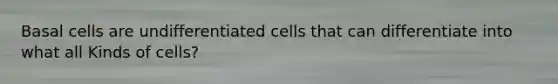 Basal cells are undifferentiated cells that can differentiate into what all Kinds of cells?