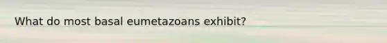 What do most basal eumetazoans exhibit?