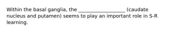Within the basal ganglia, the ___________________ (caudate nucleus and putamen) seems to play an important role in S-R learning.