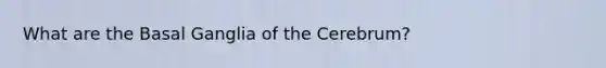 What are the Basal Ganglia of the Cerebrum?