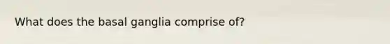 What does the basal ganglia comprise of?