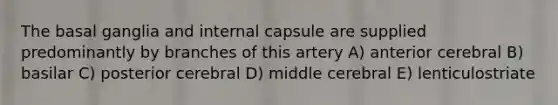 The basal ganglia and internal capsule are supplied predominantly by branches of this artery A) anterior cerebral B) basilar C) posterior cerebral D) middle cerebral E) lenticulostriate