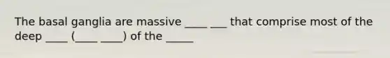 The basal ganglia are massive ____ ___ that comprise most of the deep ____ (____ ____) of the _____